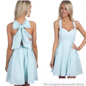 🐎 Lauren James Livingston Dress Mint Seersucker L